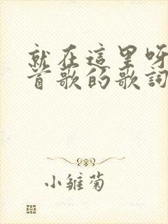 就在这里呀是哪首歌的歌词