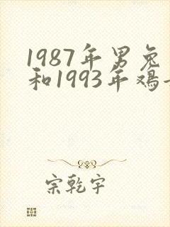 1987年男兔和1993年鸡女婚配