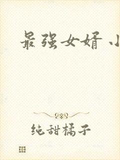 最强女婿 小说