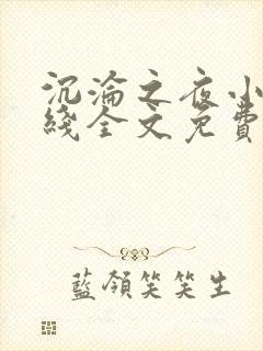 沉沦之夜小说在线全文免费阅读