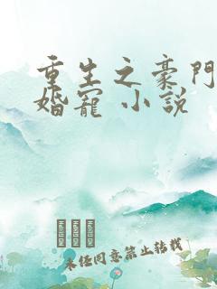 重生之豪门第一婚宠 小说