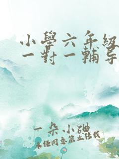 小学六年级英语一对一辅导