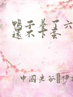 鸭子养了六个月还不下蛋