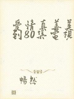 爱情真善美41到80集电视剧
