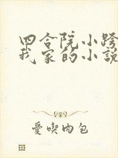 四合院小跨院是我家的小说