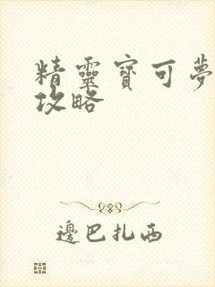 精灵宝可梦黑2攻略