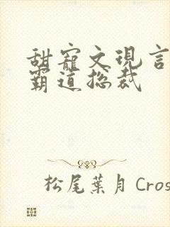 甜宠文现言推荐霸道总裁