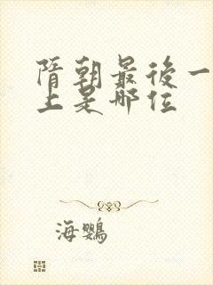 隋朝最后一个皇上是哪位