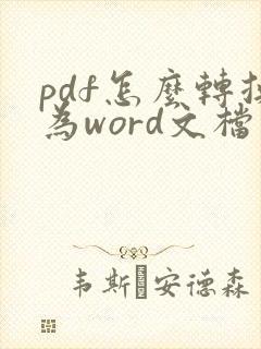 pdf怎么转换为word文档