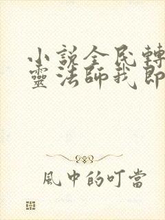 小说全民转职死灵法师我即是天灾