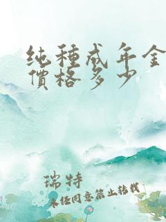 纯种成年金毛犬价格多少
