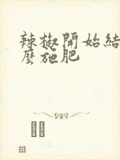 辣椒开始结果怎么施肥