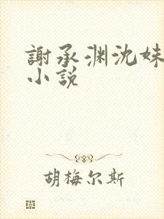 谢承渊沈姝璃的小说
