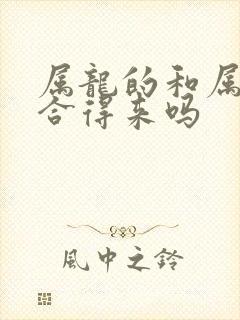 属龙的和属兔的合得来吗