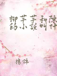 柳芊芊和陈书恒的小说叫什么名字