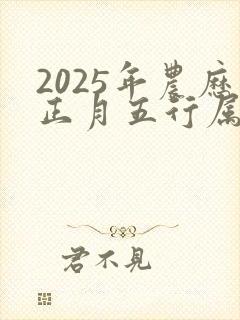 2025年农历正月五行属什么