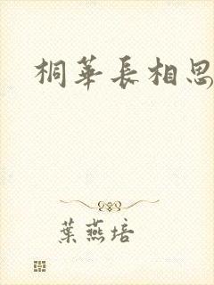 桐华长相思
