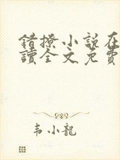 错撩小说在线阅读全文免费