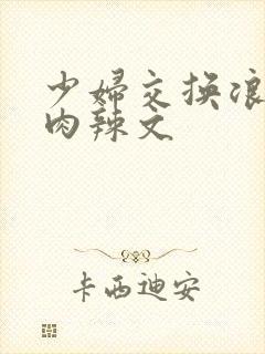 少妇交换浪荡h肉辣文
