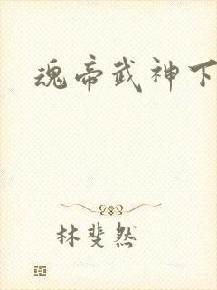 魂帝武神下载