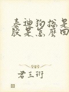 泰迪狗总是舔屁股是怎么回事