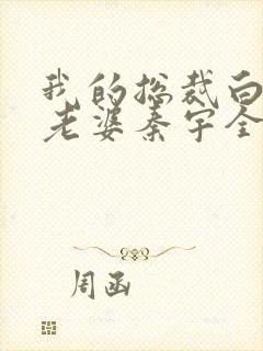 我的总裁白富美老婆秦宇全本