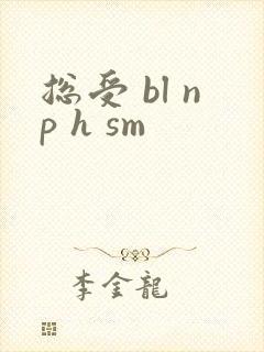 总受 bl np h sm