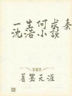 一生何求秦菲雪沈浩小说