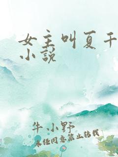 女主叫夏千歌的小说