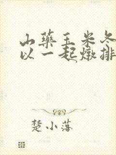 山药玉米冬瓜可以一起炖排骨吗