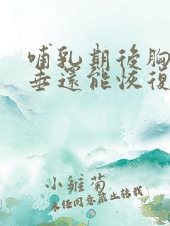 哺乳期后胸部下垂还能恢复吗