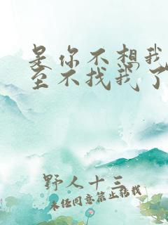是你不想我了甚至不找我了歌词