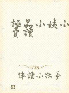 极品小姨小说免费读