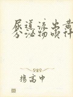 尿道流出黄脓状分泌物吃什么好