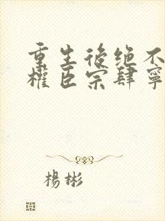 重生后绝不嫁给权臣宗肆宁芙小说