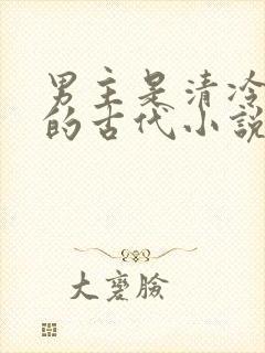 男主是清冷将军的古代小说