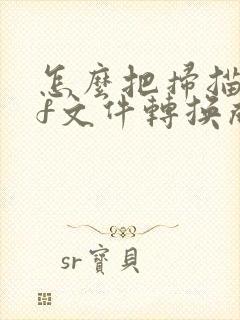 怎么把扫描pdf文件转换成word