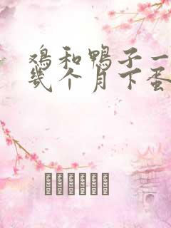 鸡和鸭子一般养几个月下蛋