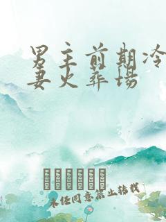 男主前期冷淡追妻火葬场