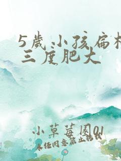 5岁小孩扁桃体三度肥大