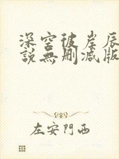 深空彼岸辰东小说无删减版