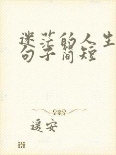 迷茫的人生感悟句子简短