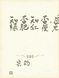 知否知否,应是绿肥红瘦免费观看