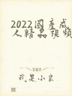 2022国产成人精品视频人
