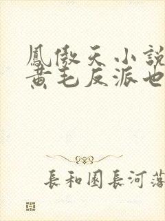 凤傲天小说里的黄毛反派也想幸福 小说
