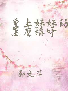皇上妹妹的老公怎么称呼