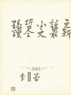 孙哲小说免费阅读全文最新章节下载