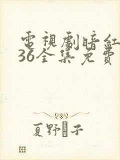 电视剧暗红1936全集免费观看