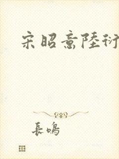宋昭意陆衍辞