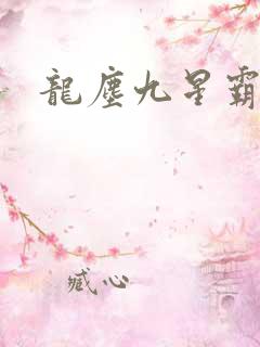 龙尘九星霸体